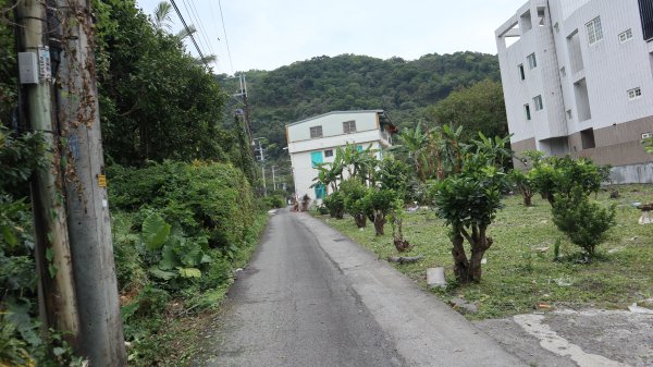 大修宮步道登山健行趣(步道)2122835