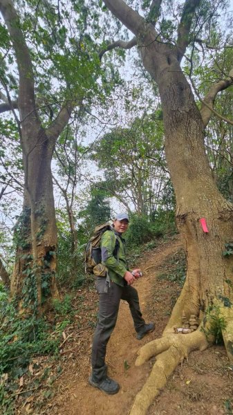 20260107竹東三山跟寶山十連峰2980130