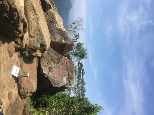 桐花片片、青青草原、石牛山2482774