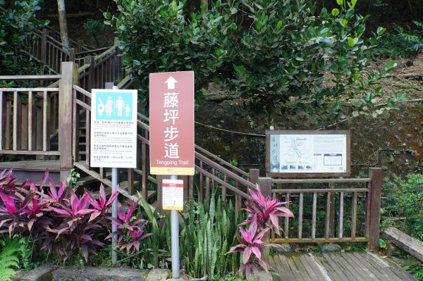 新竹 峨嵋 猿山、六寮山、玖玖山、獅頭山、獅尾山3012131