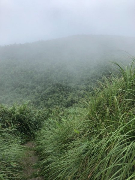 大屯主峰南峰20190727637367