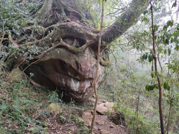 雪季北得拉曼2956432