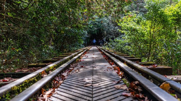 眠鐵隧道，日月靜好2970168