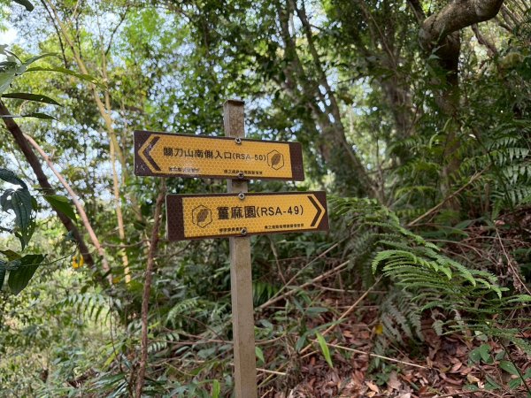 苗栗 三義 關刀山西北峰 關刀山3033653