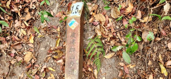 谷關七雄波津加山，太平蝙蝠洞延伸步道，花蓮美崙山步道，台東鯉魚山2005002
