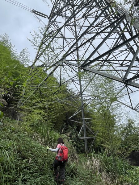 集集大山-車程步道竹林登山口202206121736357