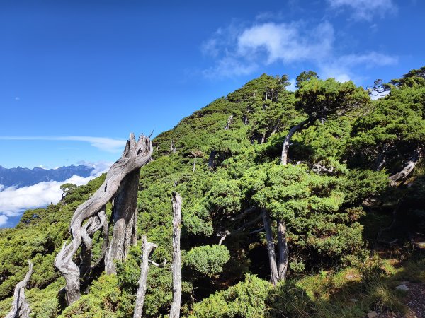 北一段(11/14)南湖北峰 2025_0906~132887335