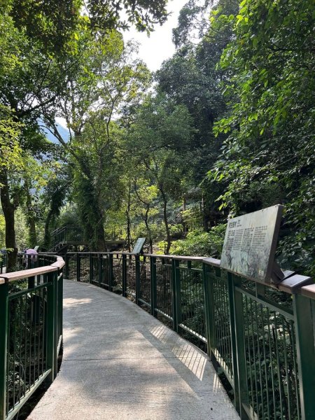 ［竹山］瑞龍瀑布步道  竹山第一美瀑之稱2909744