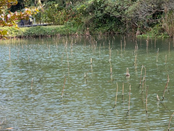 北車-桃園-齋明寺-自行車道-中庄調整池-七張-月眉2684831