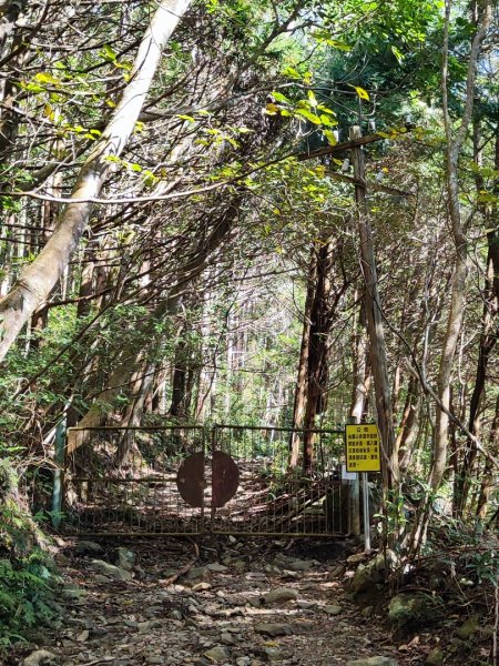 大雪山長壽三崠2691098