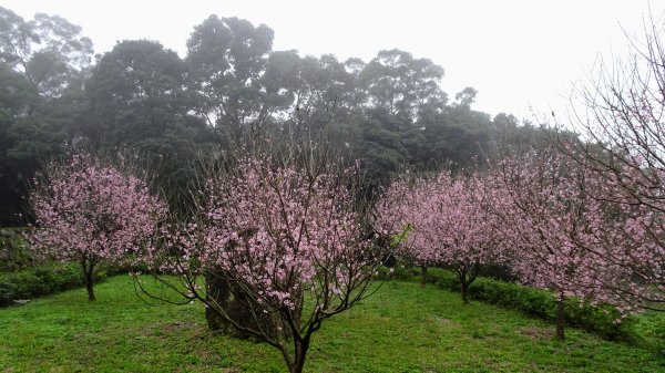 十八彎古道2026567