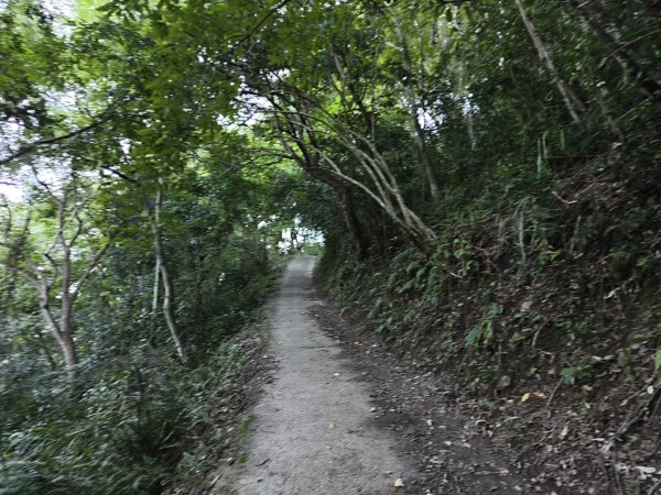 [玉山尋寶任務-07/12] 2025_0824 八通關雲龍瀑布步道2870444