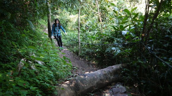 觀音山登山健行趣(小百岳05號)1632402