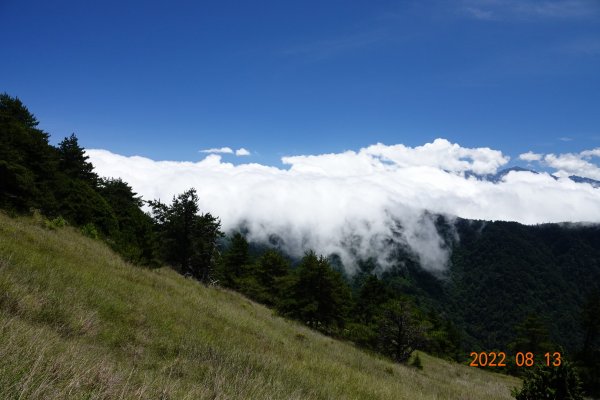 臺中 和平 桃山1803385