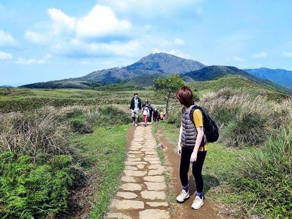 杏林山草原野餐趴2097721