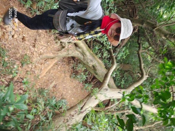 20251110竹北文山步道＆犁頭山稜線步道賞高鐵+大墩山柿園2934049