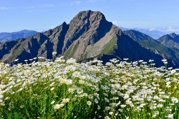 「臺灣登山申請整合服務網」上線囉！