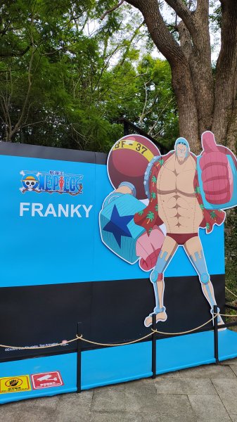 新竹航海王2938923