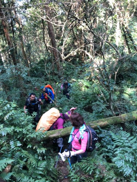 紅河谷上拔刀爾山828962