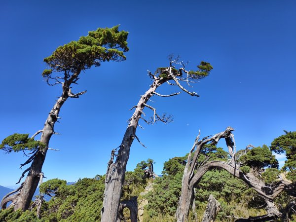 北一段(11/14)南湖北峰 2025_0906~132887312