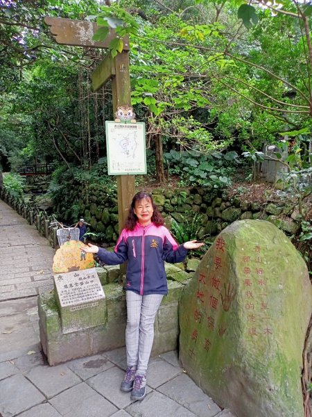 【Move Free 益節逆齡行動】虎山1168440