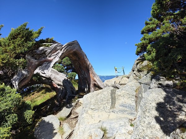 北一段(11/14)南湖北峰 2025_0906~132887303