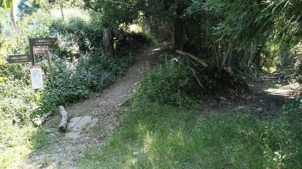 20251004 馬那邦山 - 珠湖 登山口2904904