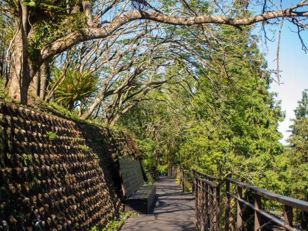 鳳凰谷鳥園2961127