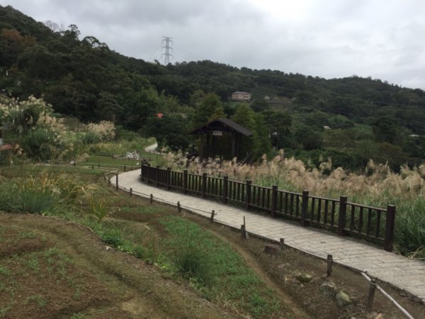 北縱七段抓了10隻博蒂742205