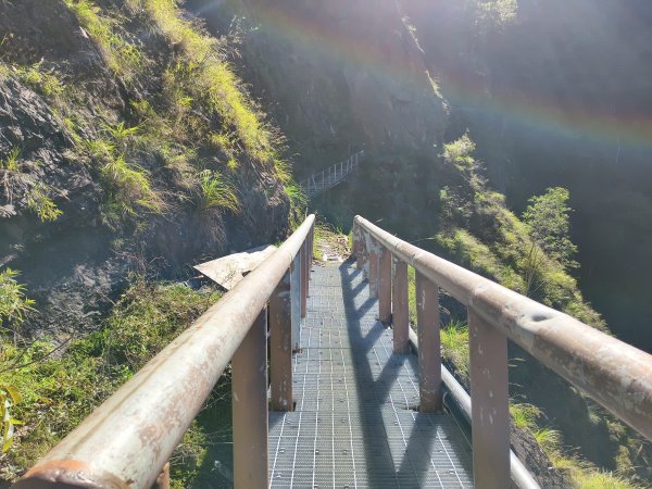 [玉山尋寶任務-07/12] 2025_0824 八通關雲龍瀑布步道2870662