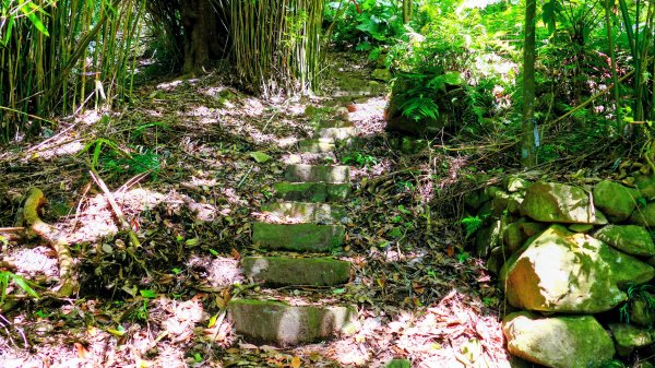 紅壇上紗帽山,花卉中心3016468