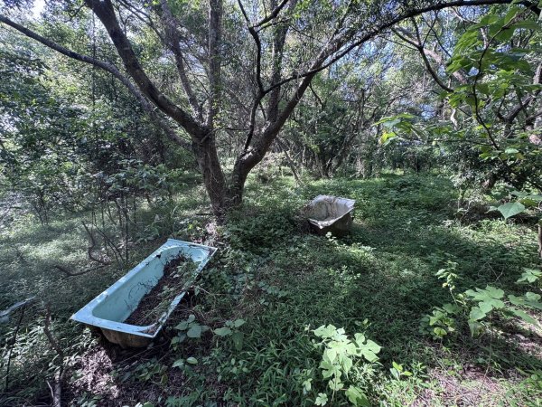 新竹香山區&東區 牛埔、印斗、十八尖山西峰近郊三山3042882