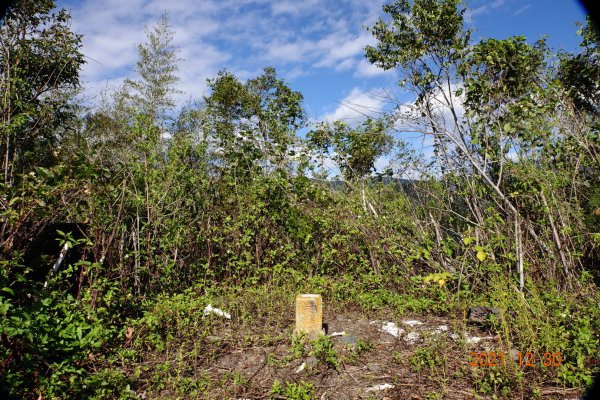 南投 仁愛 巴蘭山、關頭山、高峰山1567692