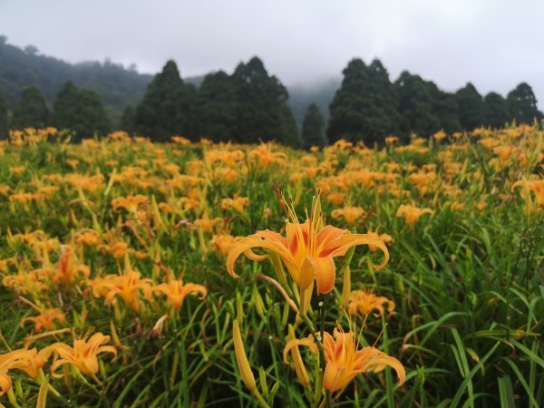 赤科山忘憂之旅916215