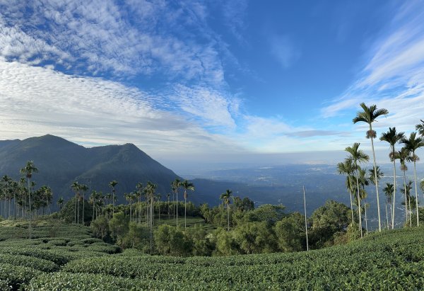 竹崎十三連峰 (阿里山四大天王越野賽路線)1932698