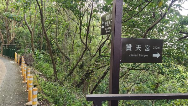 【田中秘境】田中大小劍+小奇萊O繞2719645