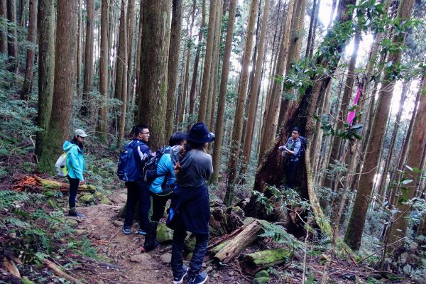 苗栗。加里山 大O型 2018.03.1293830