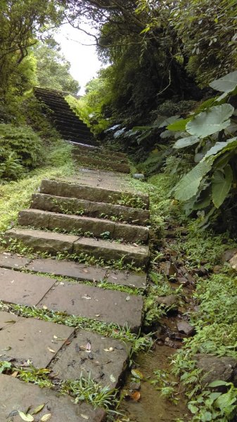 【東北角生態步道尋寶石】 桃源谷步道大溪線 3-2963446