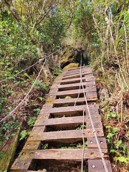 小百岳集起來-獅仔頭山2180889