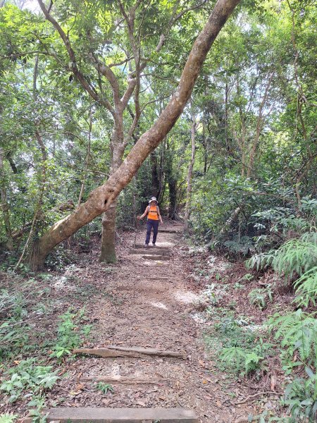 南澳朝陽步道小O202508312876509