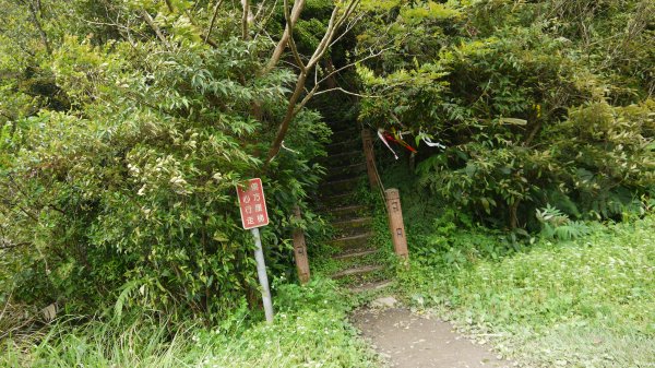 獅仔頭山登山健行趣(小百岳20號)1531777