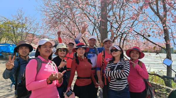 南投草坪頭2714124