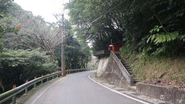 獵貍尖步道連走烏塗溪步道登山健行趣(淡蘭南路TK3-6&TK3-5&TK3-4)2404499