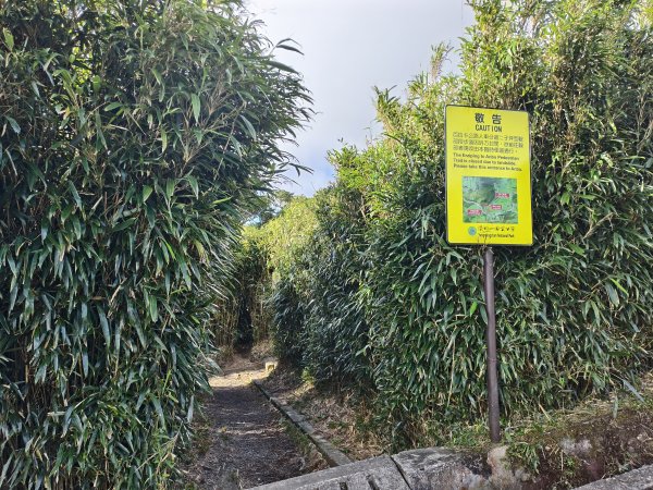 [百山百鳥尋旅-11/15] 2025_0927 大屯主峰-連峰步道_大屯山2899266