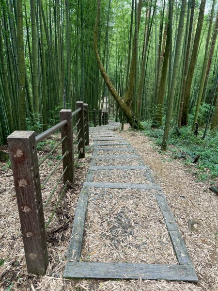 嵐山再古坑。五元兩角 木馬古道2806172