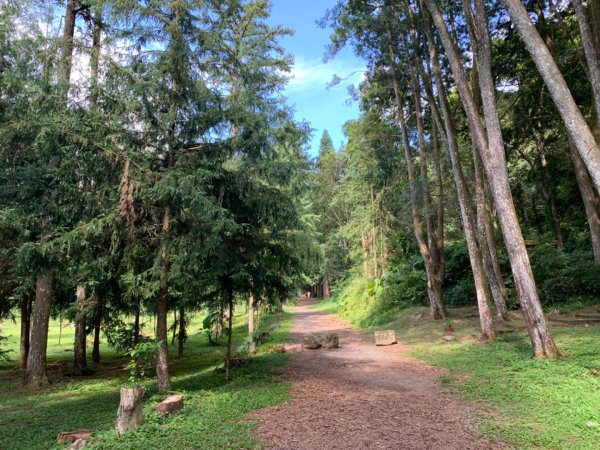 惠蓀林場渉水步道與山嵐小徑1043087