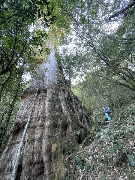 干卓萬橫斷 2024 11/29 四天三夜2865563