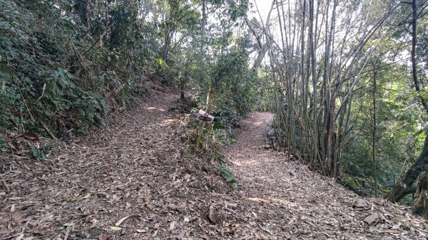 西阿里關山3033625