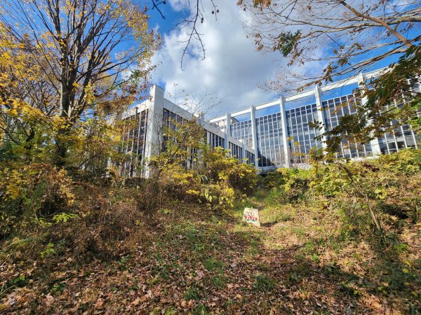 20251128橫須賀軍港遊船+鎌倉大佛步道2962737