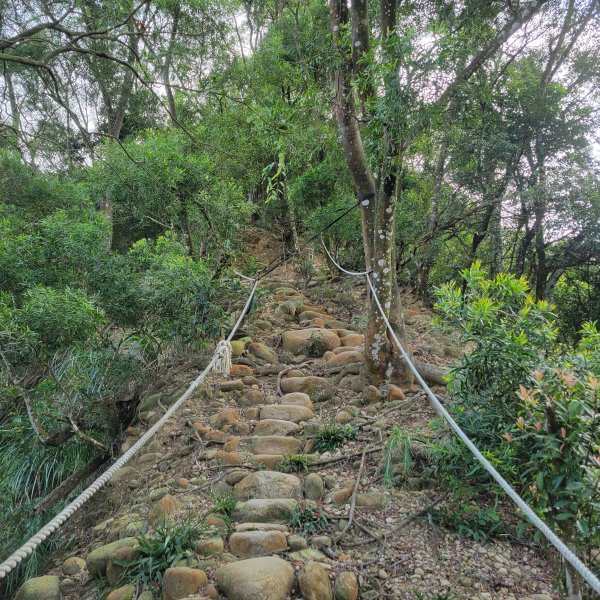 挑炭古道（三通嶺古道）